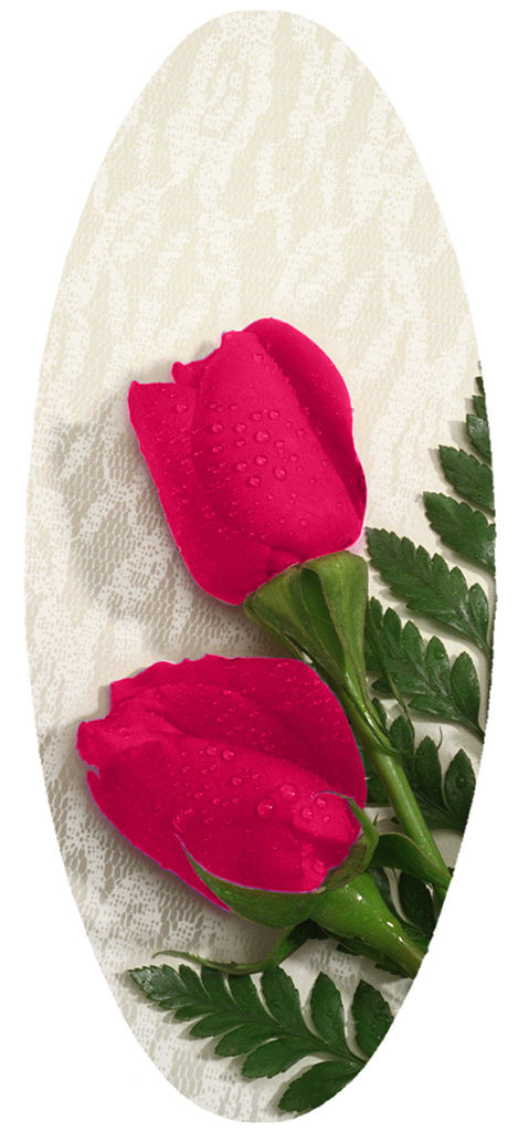 A18 2 Rose Hot Pink (NG) PROOF